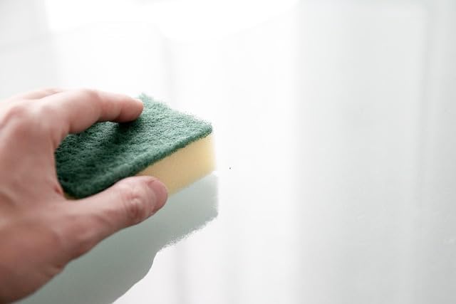 Kitchen Dishwashing Sponges, Dual-Layer Cleaning Pads with Scouring Surface, Pack of 10|B0FQHSNTMC